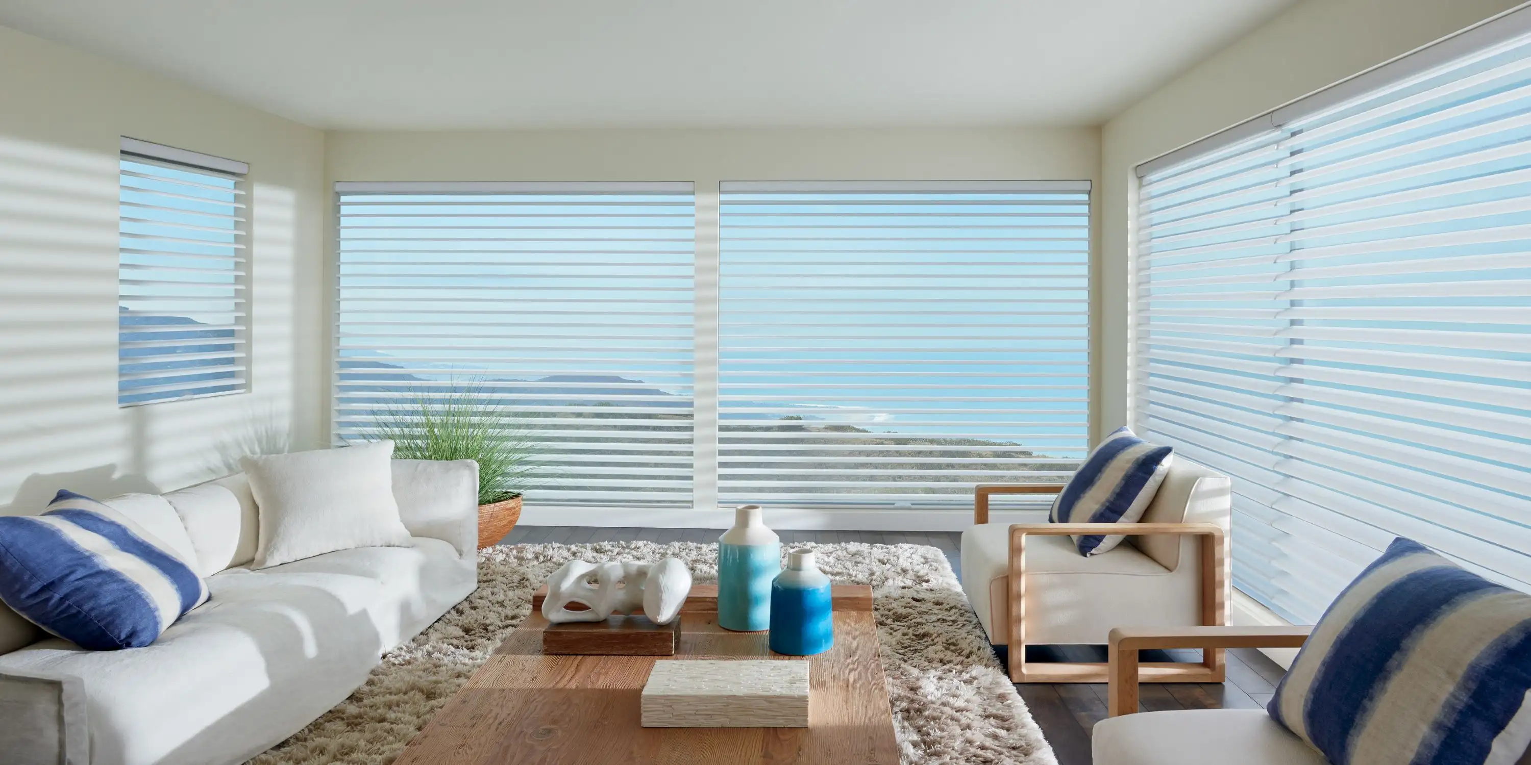 Hunter Douglas Window Treatments